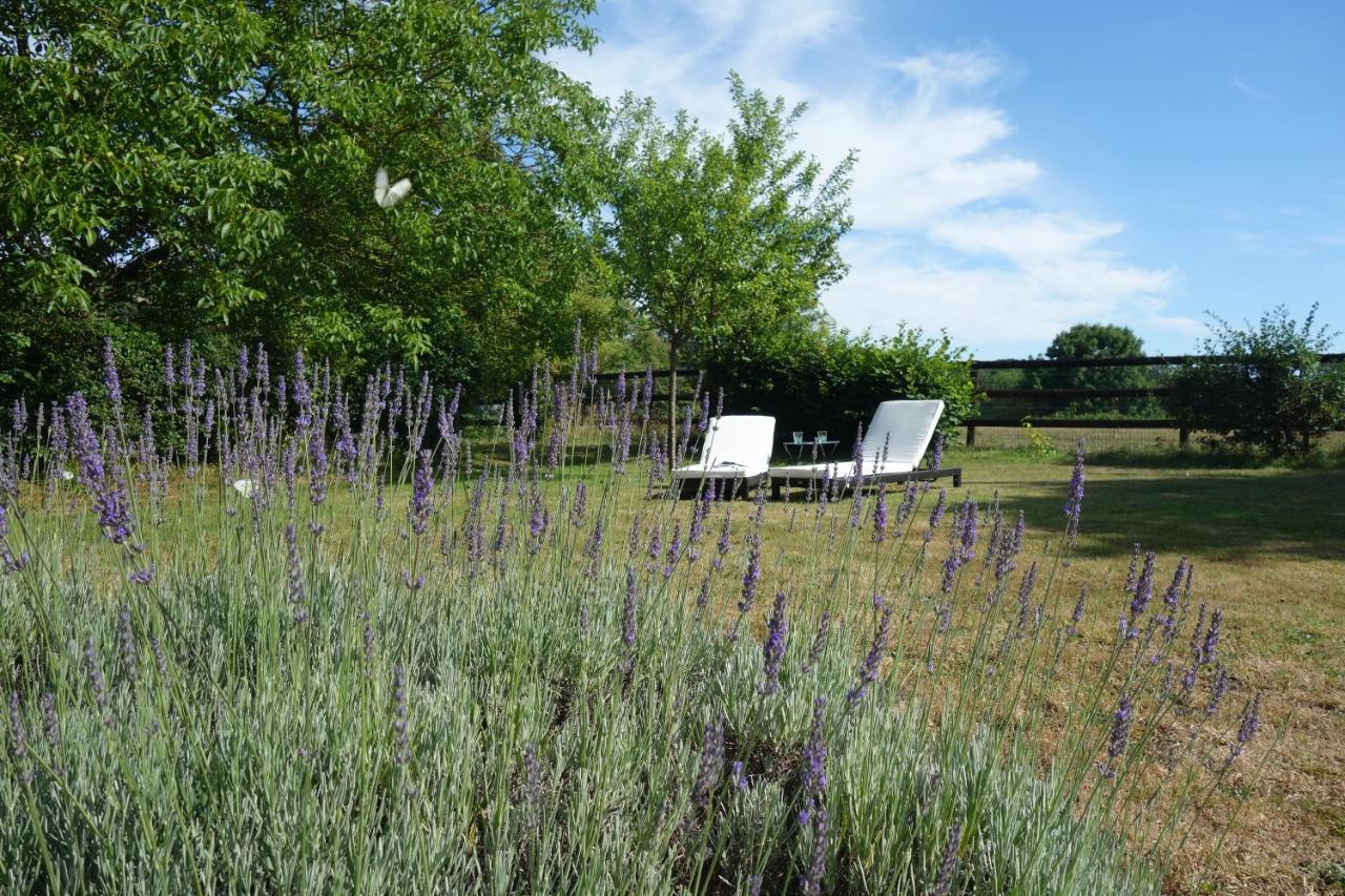 Le Cottage Du Coudray, Gite Avec Chalet Sauna La Fresnaie-Fayel Zewnętrze zdjęcie